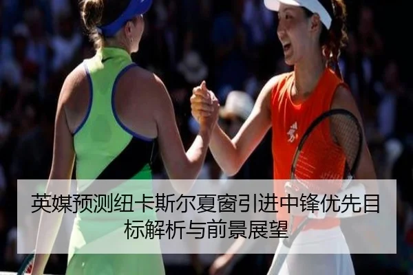 英媒预测纽卡斯尔夏窗引进中锋优先目标解析与前景展望