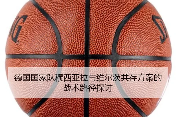 德国国家队穆西亚拉与维尔茨共存方案的战术路径探讨