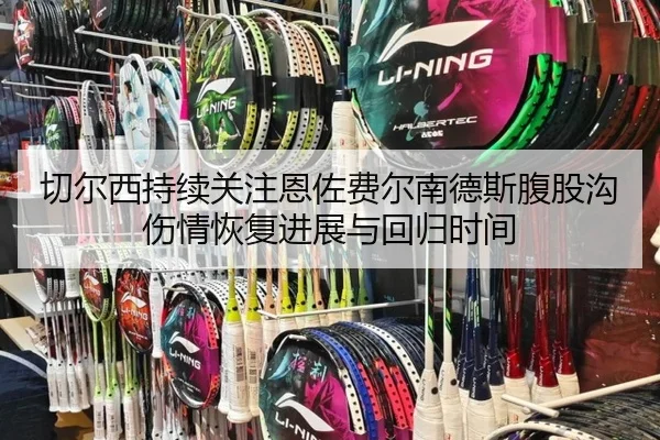切尔西持续关注恩佐费尔南德斯腹股沟伤情恢复进展与回归时间
